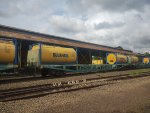 BRAD PCT-058026-1